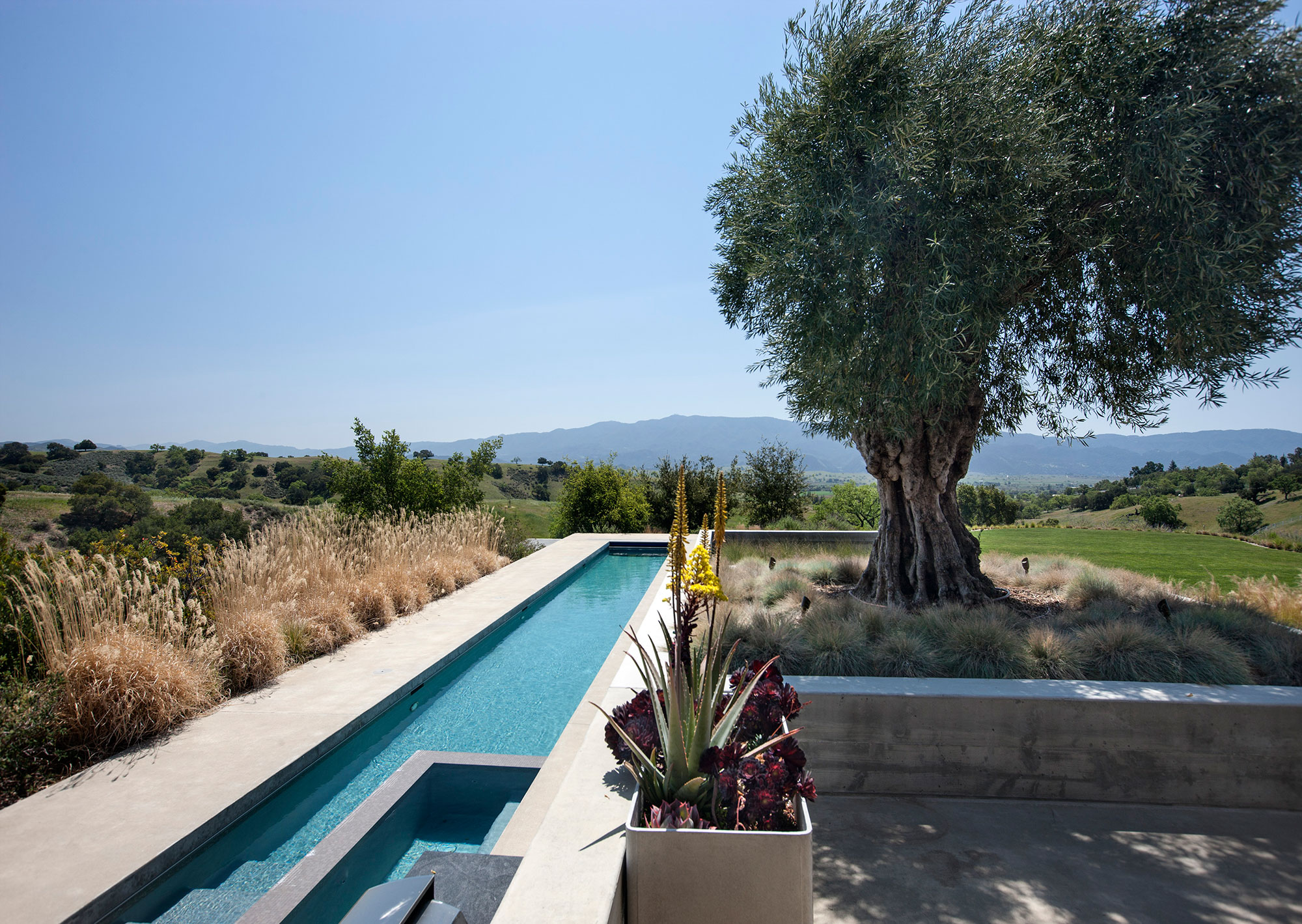 Santa Ynez Contemporary - Presented by Laura Drammer